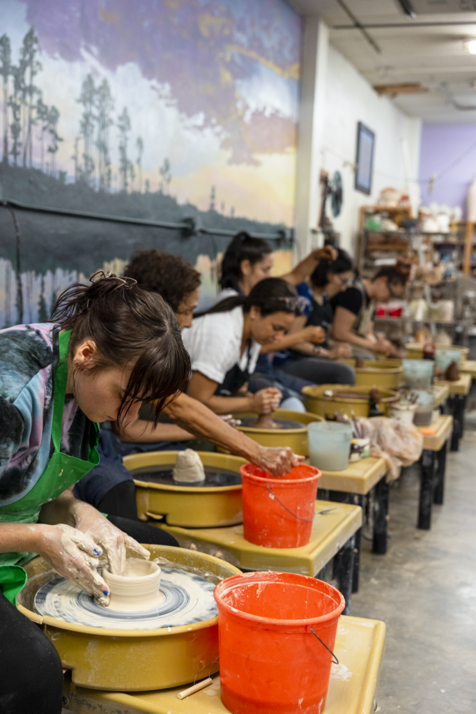 Anhinga-July 2025 -008